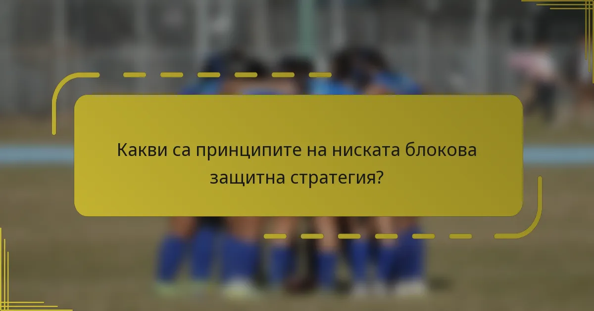 Какви са принципите на ниската блокова защитна стратегия?